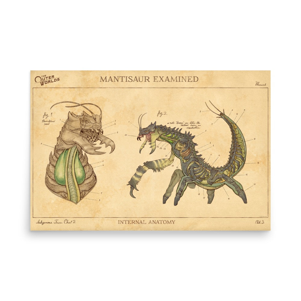 The Outer Worlds Mantisaur Print – Xbox Gear Shop